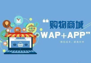 常州专业开发app公司分析电商app开发解决方案