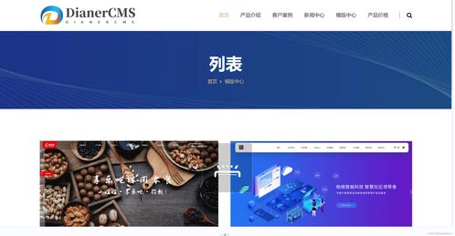 新版java cms 内容管理系统